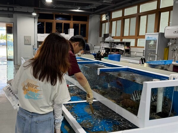 韩国浦项市启动夏季海产品食源性病原体与放射性核素专项检查