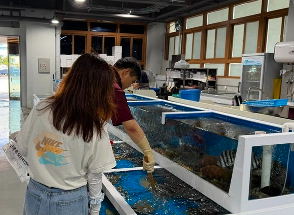 Pohang, South Korea, launches a special inspection for foodborne pathogens and radionuclides in summer seafood.