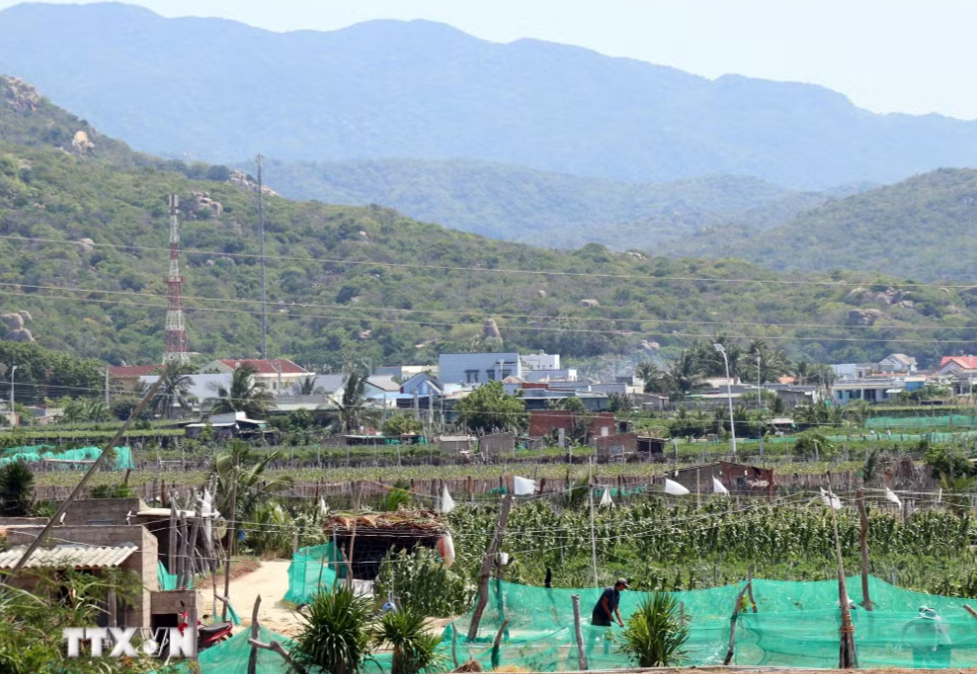 Le projet nucléaire de Ninh Thuận au Vietnam rencontre des obstacles dans le déblaiement des terrains, la province de Khánh Hòa crée un groupe spécial pour accélérer la remise des terrains