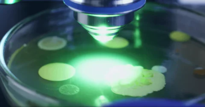 Russian Scientists Develop Bioluminescent Bacterial Bioassay for Screening Safe Low-Dose Radiation Levels in Animals