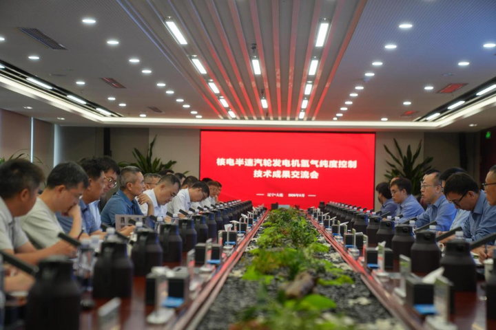 La technologie de contrôle de la pureté de l'hydrogène pour le nucléaire du « Plan Summit » de CGN promue sur le site nucléaire de Hongyanhe