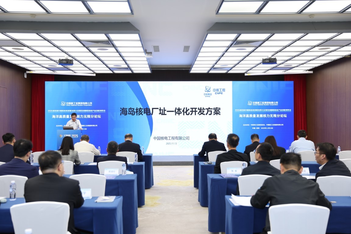 海岛核电厂址一体化开发方案——中国核电工程有限公司前期总师付斌