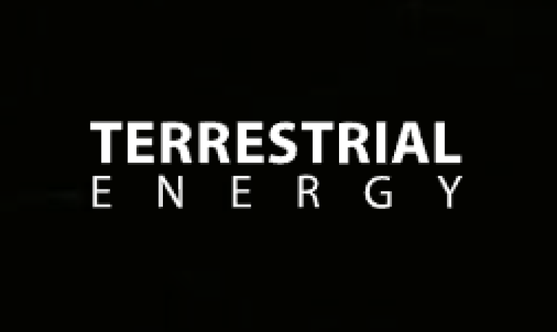 Terrestrial Energy向美国核管理委员会提交石墨专题报告，推进一体化熔盐堆许可监管进程